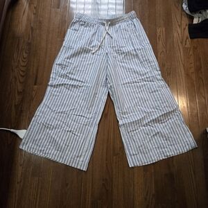 torrid Blue and White Striped Wide Leg Pants